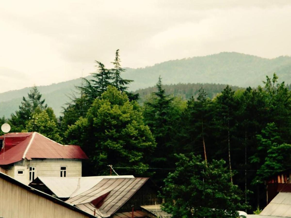 Erik'S Guest House Borjomi Exterior foto