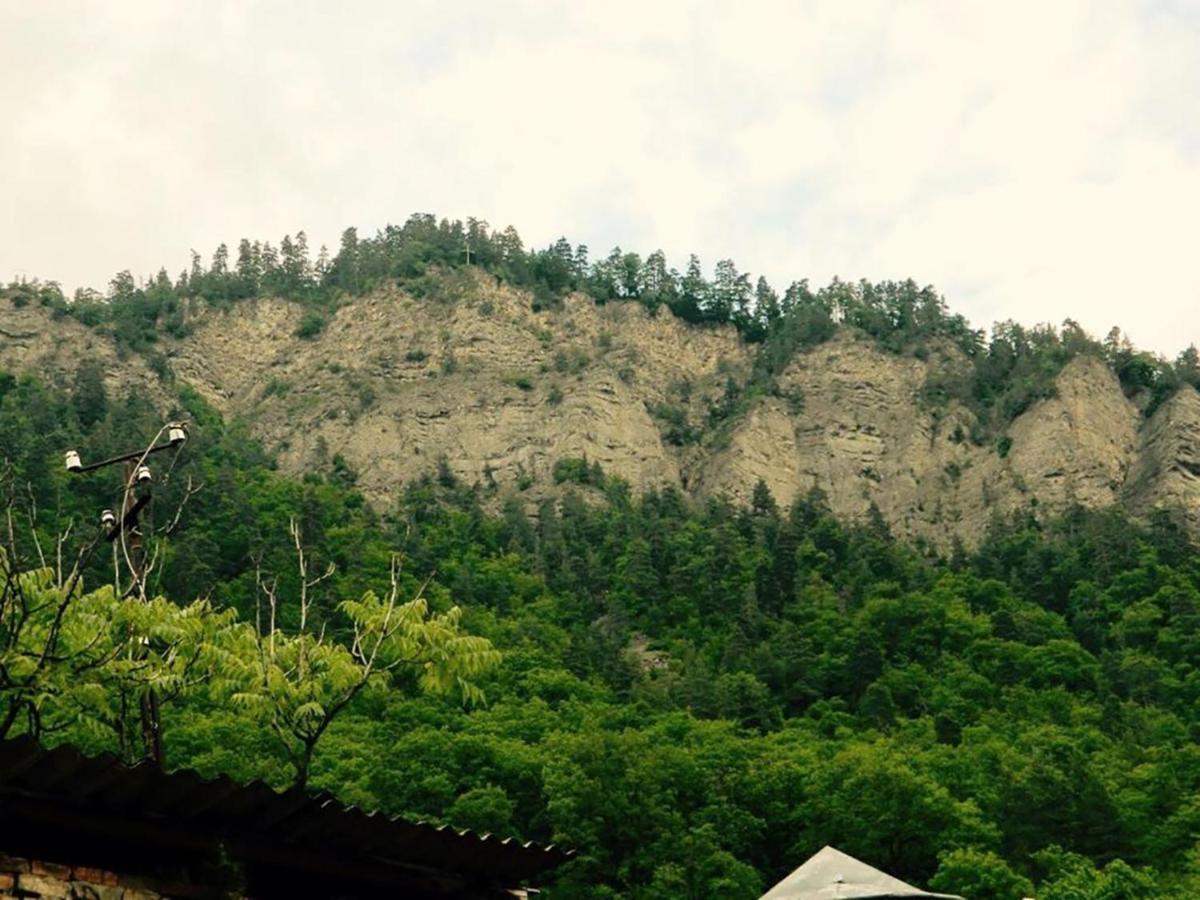 Erik'S Guest House Borjomi Exterior foto